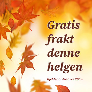 Rosa Girasol - tromlet stein - Small