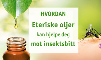 Bruk av eteriske oljer på insektstikk