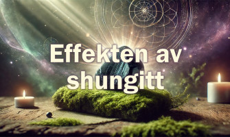 Artikkel om effekten av shungitt
