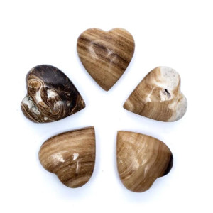Brun aragonitt - Hjerte