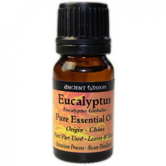 Eukalyptus - Eterisk olje