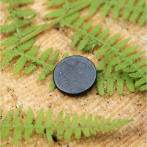 Shungitt - Beskyttelsesbrikke - Rund Shungitt - Beskyttelsesbrikke - Rund