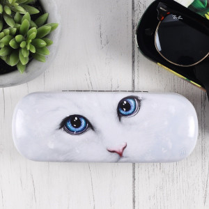 Brilleetui - Winter Cat