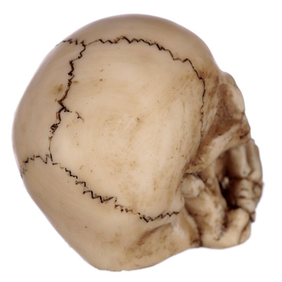 Ikke hørt, ikke sett, ikke sagt - Sett med 3 hodeskaller