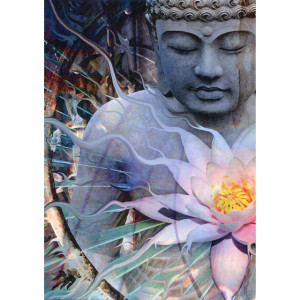 Living Radiance - Kort