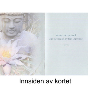 Living Radiance - Kort