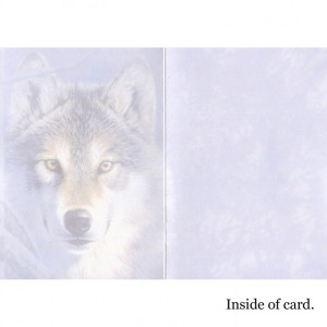 Native American - Moonshine - Kort