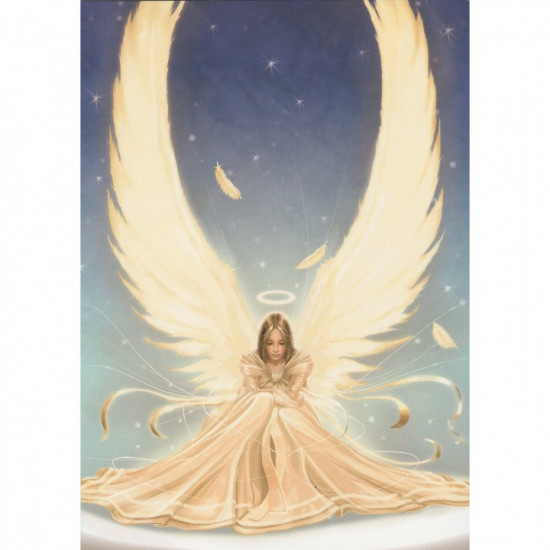 Angel  - Purity - Kort