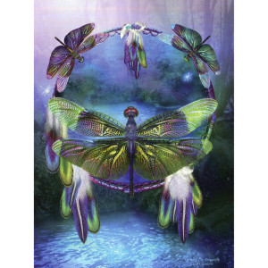 Spirit of the dragonfly - Kort