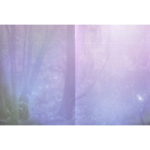 Spirit of the dragonfly - Kort