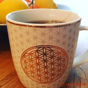 Flower of life - krus - Gavesett Flower of life - krus - Gavesett