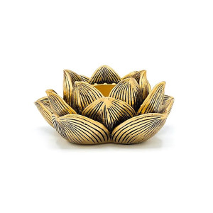 Lotus  - Telysholder