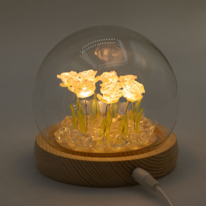 Rose - Rosa - Ledlys