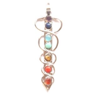 twin-snakes-chakra-114