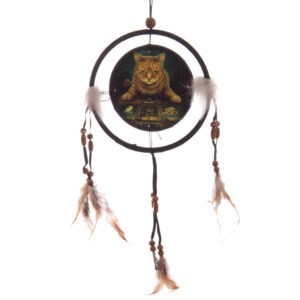 DCPA06P_001