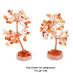 TREE5-X