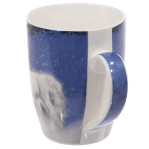 MUG201_005