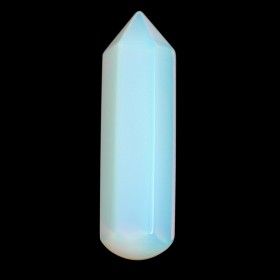 WAND27-L1
