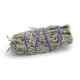 Desert sage