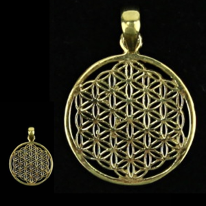 flower-of-life-messing-stort-791