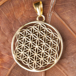 floweroflifeanheng