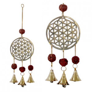 Rudraksha