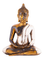 Buddhawhite1