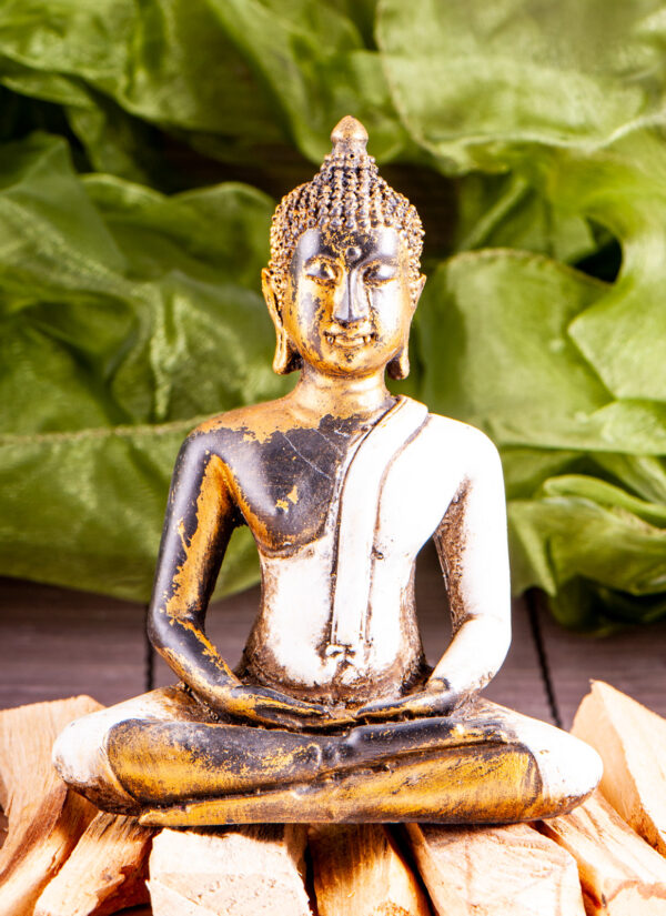 buddhahvit buddhahvit
