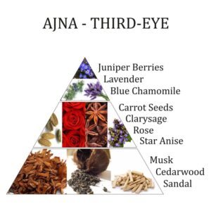ajna1