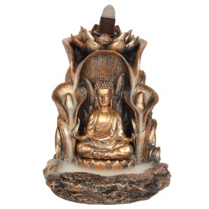 backflowbuddha
