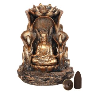 backflowbuddha2