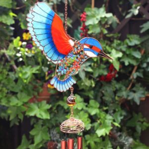 kingfisher1