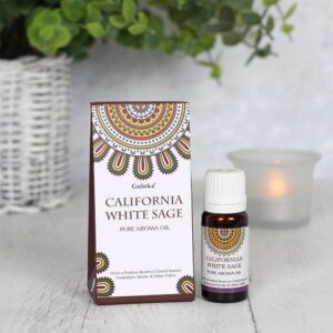 californiawhitesage1