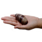 lingam3