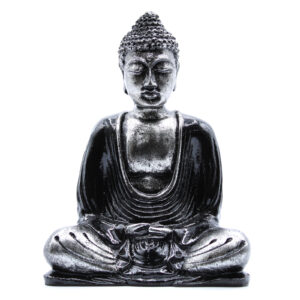 Buddhasortoggraa