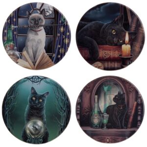 catscoasters