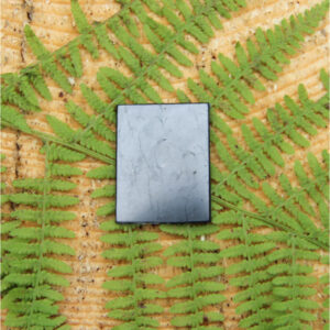 shungittbeskyttelseplate