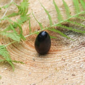 shungittegg
