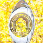 buddhamobil