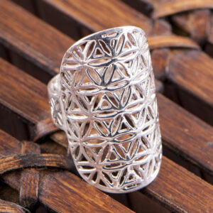 Flowerof life_solvring_800x800