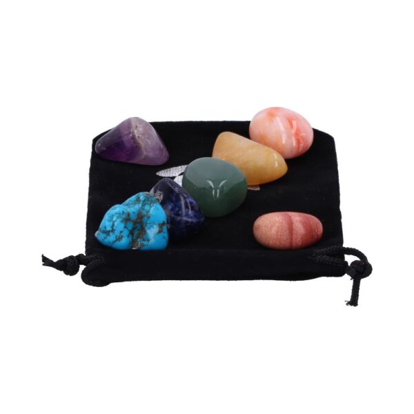 chakrawellness2 chakrawellness2