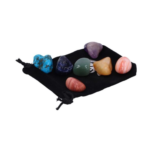 chakrawellness3 chakrawellness3