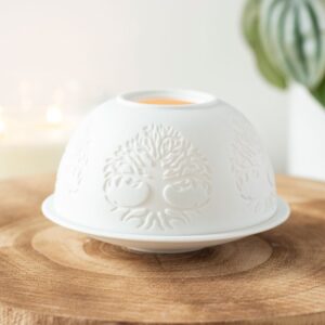 treeoflife_dome3