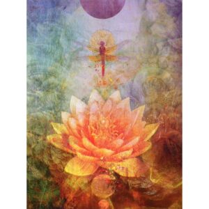 Lotus_dragonsfly
