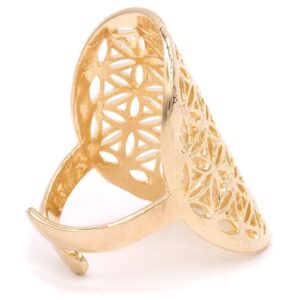 Brass_ring1