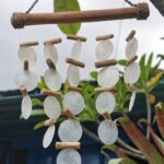 pearl_driftwood1