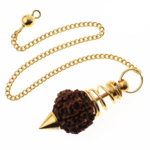 Rudraksha seed (003)