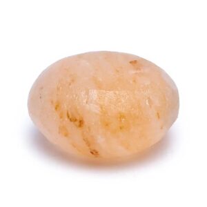 saltsaape