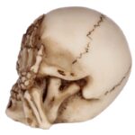 Set of 3 Small Skulls_03