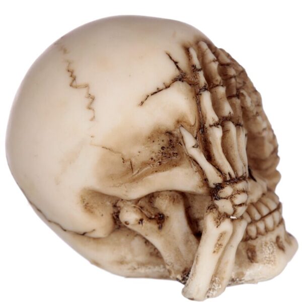 Set of 3 Small Skulls_04